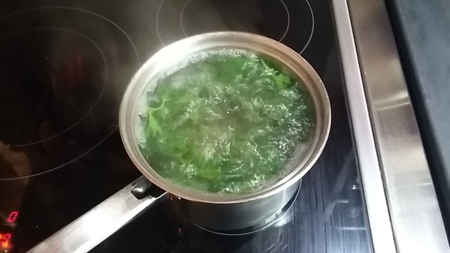 Boiling nettle tips young shoots tea making